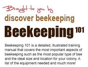 Discover Beekeeping